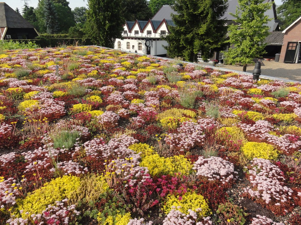Dachbegrünung Aufbau eines Gründachs